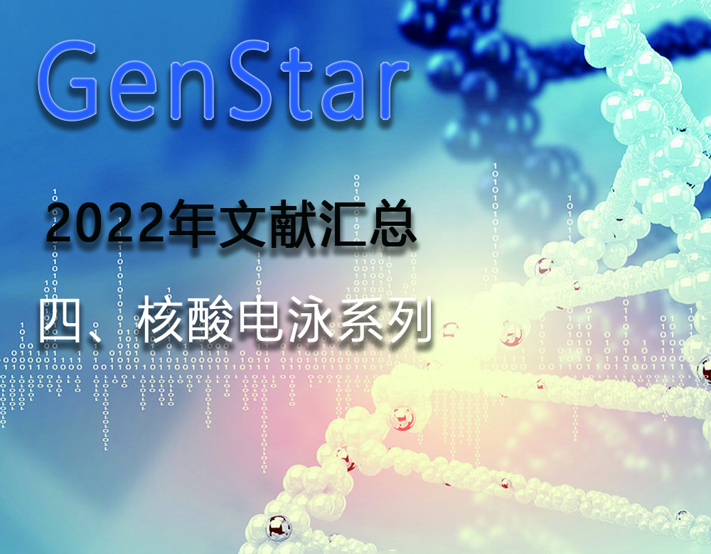GenStar 2022年文獻匯總（四、核酸電泳系列）